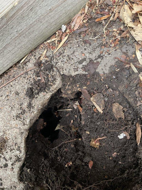 Responded to service call for slow-draining garage floor drains causing water pooling. Upon arrival, inspected multiple drain grates and surrounding concrete surfaces showing signs of debris accumulation and drainage issues. Assessed drain system functionality, identified blockage points, and cleared obstructions from floor drain lines to restore proper water flow and eliminate standing water concerns.