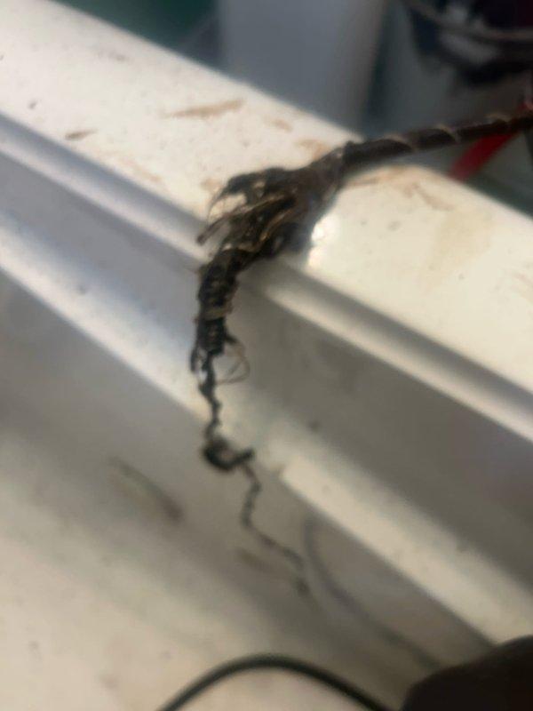 Responded to service call for malfunctioning shower diverter and slow-draining bathtub with foul odor and black residue. Inspected shower valve assembly and confirmed diverter mechanism failure preventing proper water flow transition between tub spout and showerhead. Snaked bathtub drain to remove accumulated biofilm, hair, soap scum, and organic matter causing black discharge and malodorous conditions. Cleared drain line and restored proper drainage function.