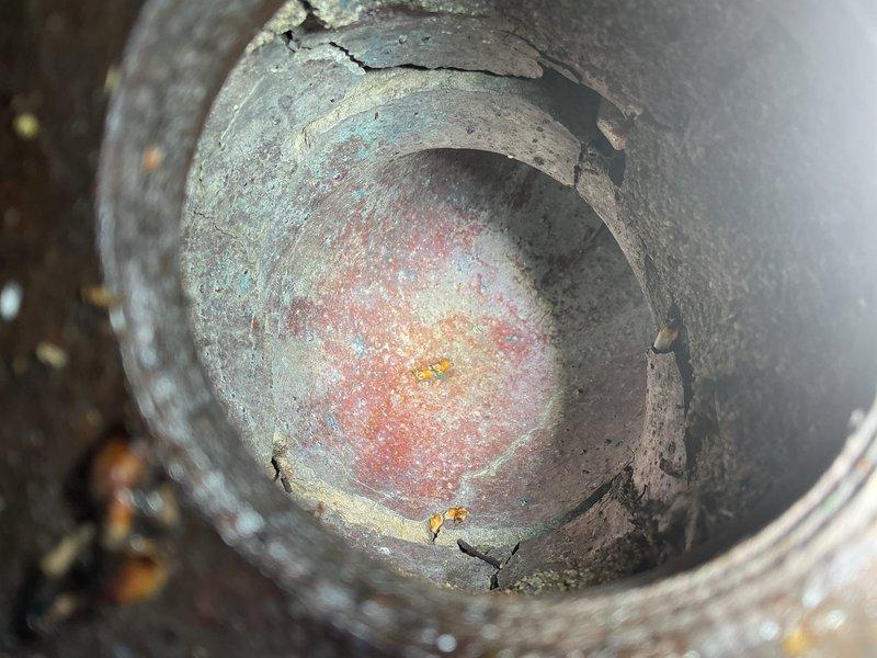 Responded to service call for cracked exterior storm drain at residential property. Upon inspection, discovered severely corroded metal drainage pipe with extensive oxidation, material degradation, and visible cracking throughout the interior surfaces. The pipe exhibited multiple layers of corrosion including greenish-gray patina, rust deposits, and scaling with material separation occurring at various points. Documented the deteriorated condition of the storm drain system and exterior access point near the building's rear entrance for estimate preparation. Recommended full pipe replacement due to compromised structural integrity and advanced corrosion damage that poses risk of complete failure.
