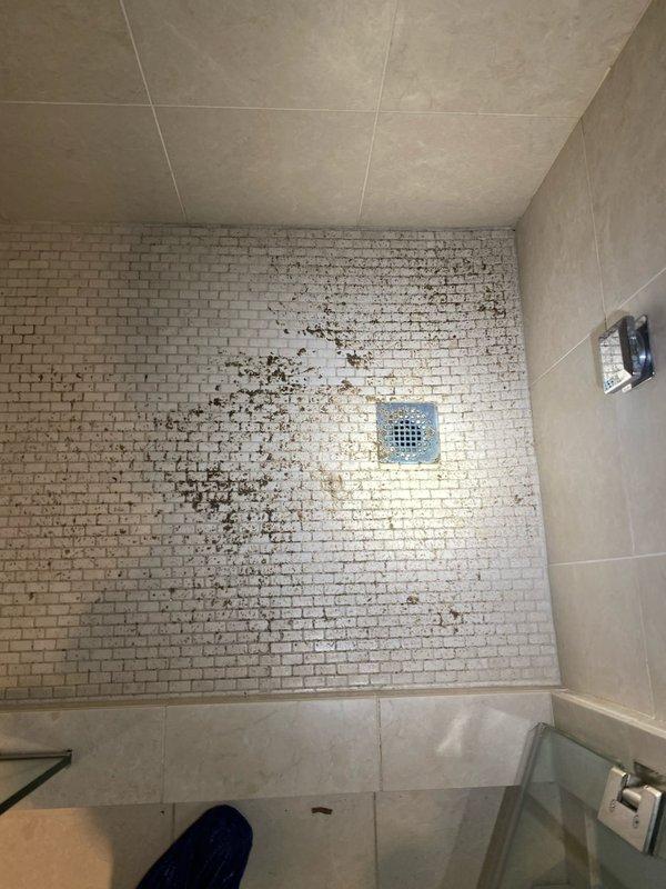Installed new sump pump system to address basement flooding issues. Additionally, inspected and assessed toilet functionality and shower drainage concerns, documenting existing conditions including water staining on shower floor tiles.