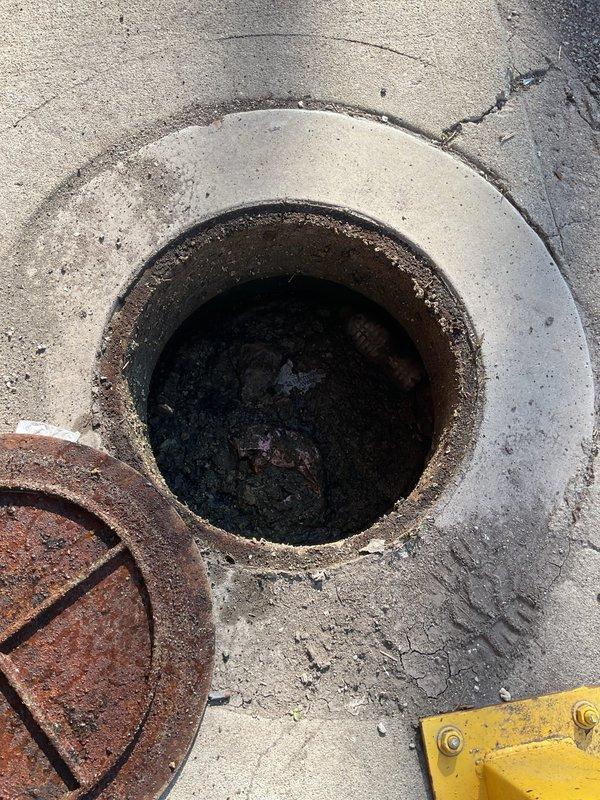 Responded to customer request for catch basin cleaning due to debris accumulation and backup issues. Upon arrival, found deteriorated concrete catch basin with heavily corroded metal cover displaced from opening. Extensive debris and sediment observed at bottom of basin. Removed rusted cover and performed thorough cleaning of catch basin to eliminate blockage and restore proper drainage function. Surrounding concrete surface showed significant weathering with visible cracks radiating from opening. Successfully cleared all debris and backup, restoring full operational capacity to the catch basin system.