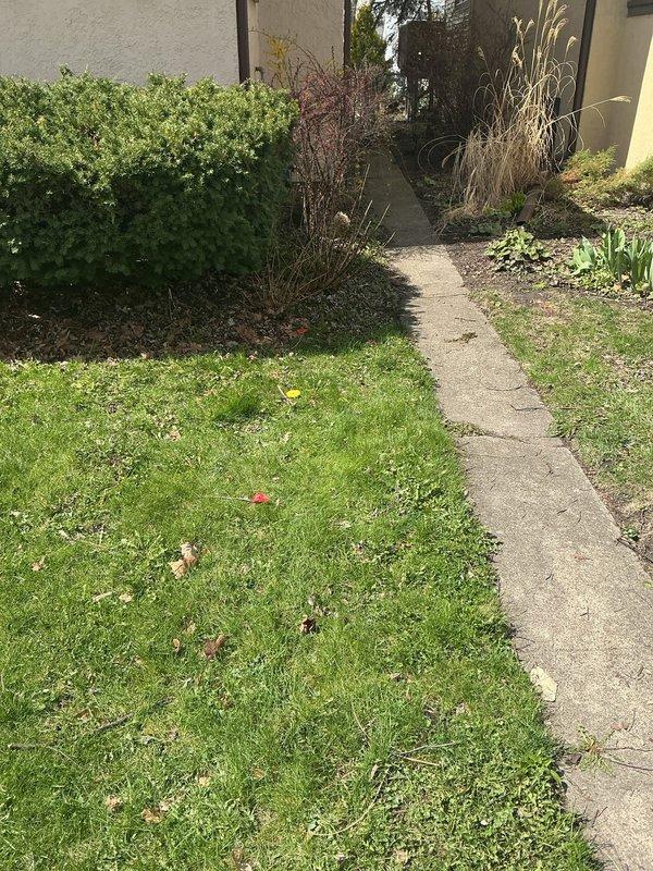 Returned to property under warranty to perform additional rodding and camera inspection of sewer line. Accessed cleanout point in basement utility area near vertical drain stack and conducted thorough cable rodding to clear remaining obstruction. Deployed sewer camera through system to document pipe condition and verify clearance, with technician supervision present as requested to review findings and discuss any concerns identified during inspection.