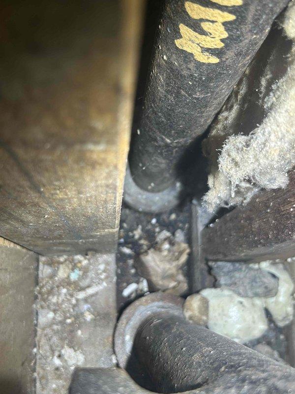 Completed initial drain and sewer assessment for commercial facility. Inspected bathroom sink line experiencing drainage issues and documented existing conditions in confined mechanical space. Photographed heavily dust-covered plumbing components, including vertical pipe runs with significant debris accumulation and aged metal fittings showing wear. Identified need for excavation and repair of bathroom sink line. Follow-up estimate scheduled for excavation scope and line repair recommendations.
