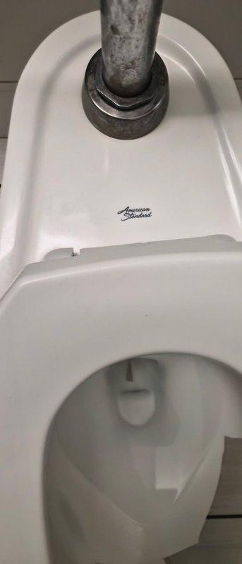 Replaced existing commercial toilet with new American Standard unit in ADA-compliant restroom. Removed old fixture, installed new toilet with chrome flush valve mechanism, and ensured proper connection to water supply line. Verified functionality and confirmed accessibility features including wall-mounted grab bars remain properly positioned on both sides of the fixture.