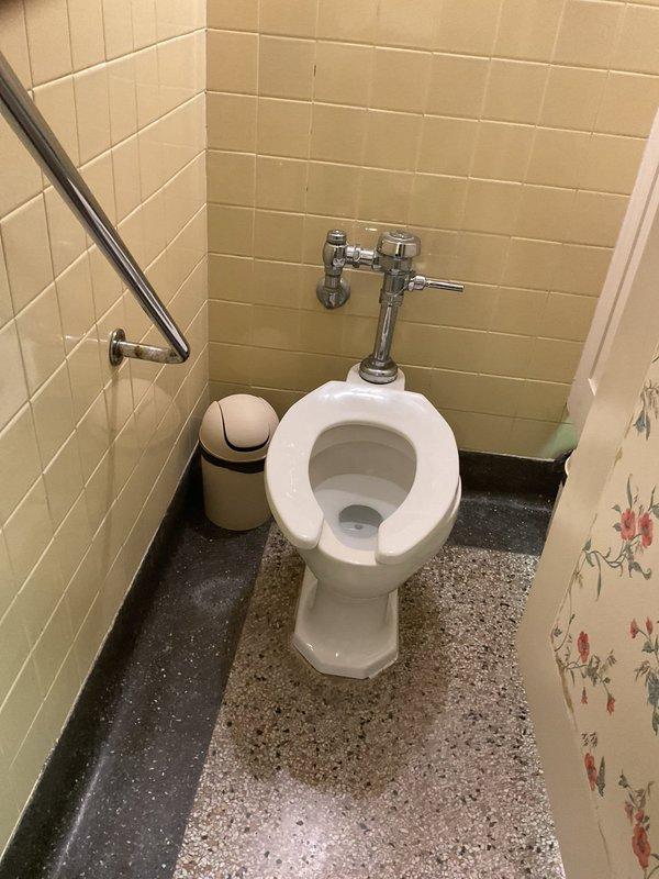 Responded to service call for commercial toilet fixture in public restroom facility. Upon arrival, assessed chrome flush valve mechanism and water supply connections. Identified part requiring replacement during initial morning visit. Returned with necessary component and completed installation of flush valve assembly. Verified proper water flow through supply line and tested flush mechanism for full functionality. Confirmed all chrome plumbing connections were secure and leak-free. Left fixture in proper working order with all components operating as designed.