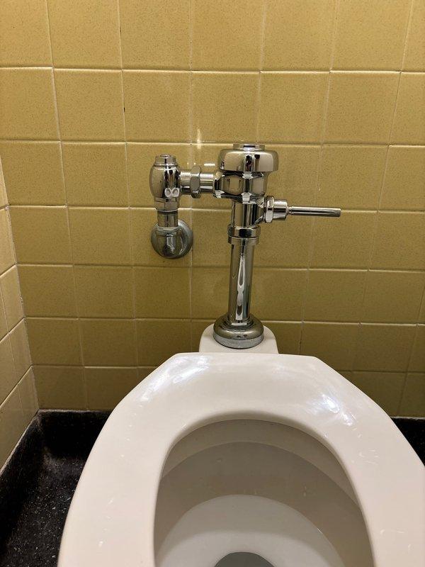 Responded to service call for commercial toilet fixture in public restroom facility. Upon arrival, assessed chrome flush valve mechanism and water supply connections. Identified part requiring replacement during initial morning visit. Returned with necessary component and completed installation of flush valve assembly. Verified proper water flow through supply line and tested flush mechanism for full functionality. Confirmed all chrome plumbing connections were secure and leak-free. Left fixture in proper working order with all components operating as designed.