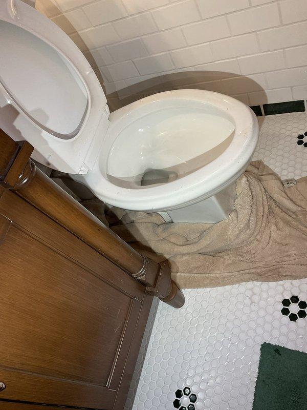 Responded to emergency main floor sewer line stoppage in 101-year-old residence where wastewater was backing up through bathtub and toilet. Cleared blockage from main sewer line, restoring proper drainage throughout plumbing system. Sediment and debris accumulation typical of aging cast iron piping was removed, and all fixtures were tested and confirmed operational upon completion.