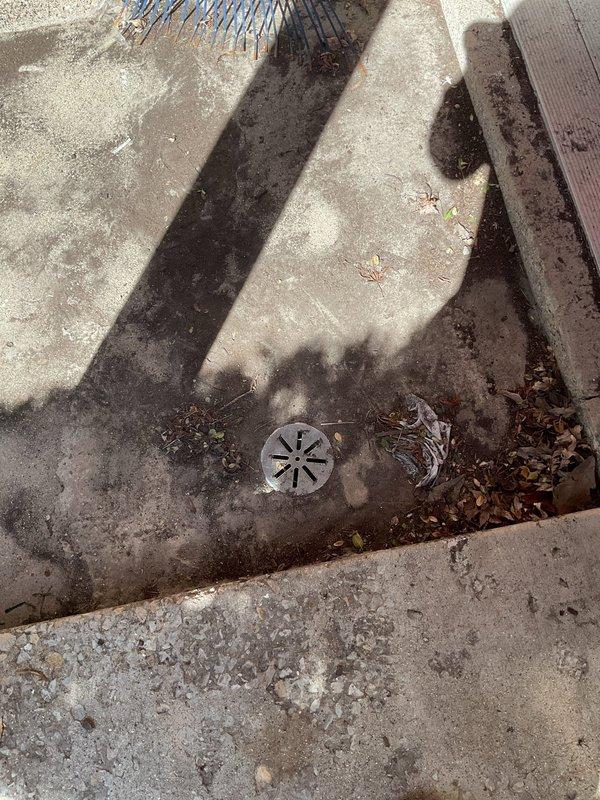 Responded to clogged outdoor drainage system. Upon arrival, found circular drain cover in concrete channel heavily obstructed with accumulated leaves, debris, and organic matter causing water backup. Deployed wet/dry vacuum equipment and specialized drain cleaning tools to remove blockage and restore proper water flow through the drainage system.