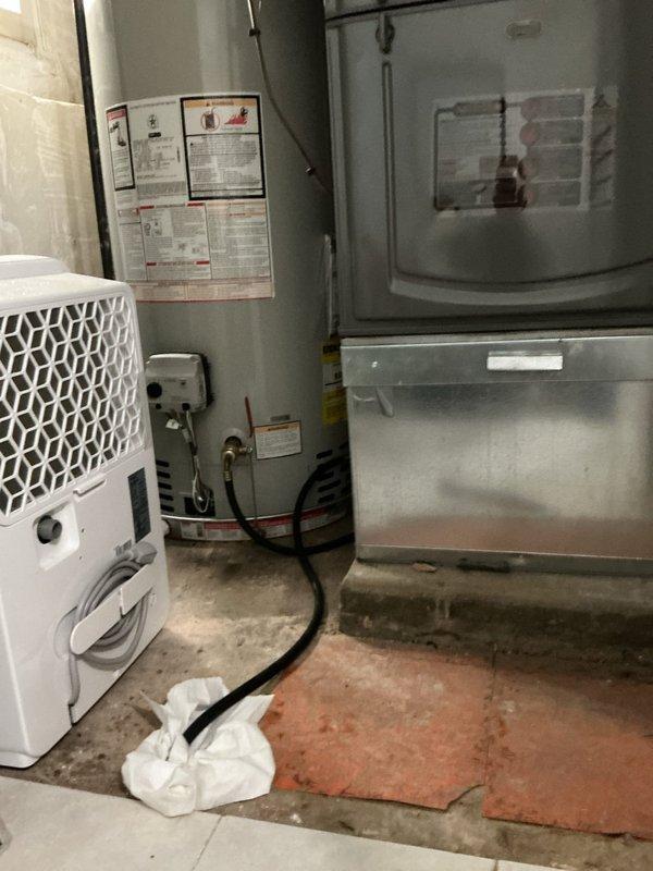 Completed VIP water heater maintenance inspection and servicing. Performed comprehensive system evaluation, checked temperature and pressure relief valve operation, inspected anode rod condition, flushed sediment from tank to improve efficiency and extend equipment lifespan. Verified proper venting, tested all safety controls, and confirmed unit operating within manufacturer specifications. Documented equipment condition with photographic records of service area and surrounding mechanical systems including HVAC equipment in basement utility room.