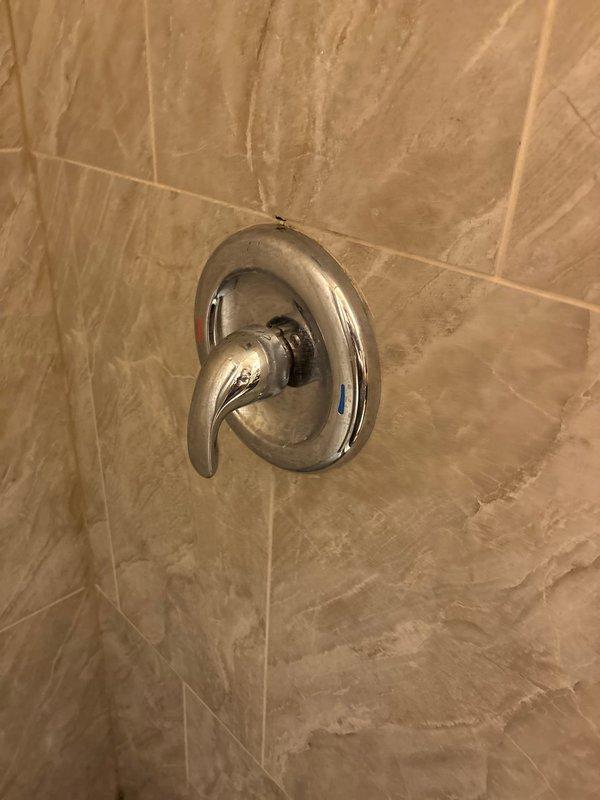 Responded to service call for leaking faucets in both bathroom and kitchen sink locations. Inspected kitchen double-basin stainless steel sink with chrome high-arc faucet and side sprayer assembly, identifying source of leak and performing necessary repairs to restore proper function and eliminate water waste. Addressed bathroom shower valve fixture with chrome finish, resolving leak issue at the valve assembly. Both fixtures were tested for proper operation and confirmed to be functioning without leaks upon completion of repairs.