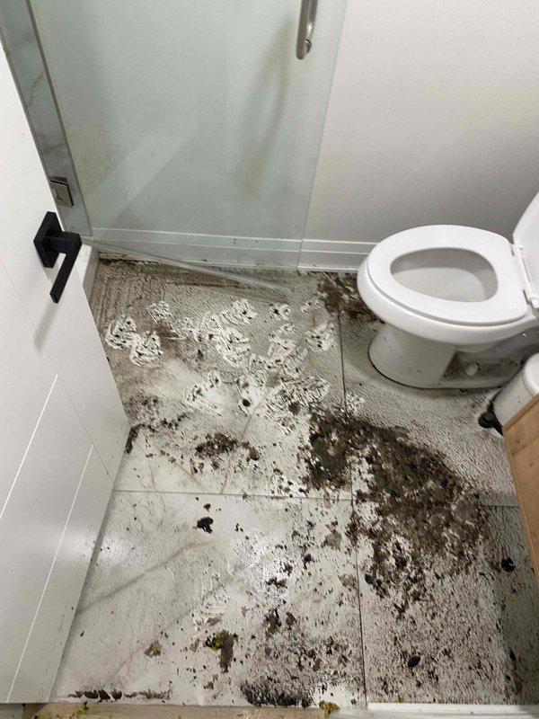 Responded to customer report of water backing up through shower drain. Upon arrival, found extensive sewage overflow throughout bathroom floor with significant contamination from main line backup. Cleared main sewer line obstruction, restoring proper drainage and preventing further backup into shower fixture.