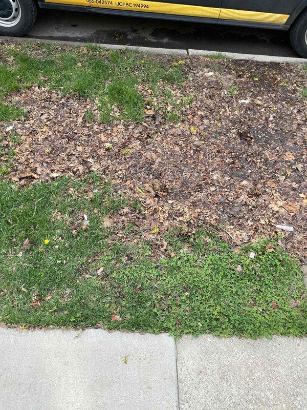Responded to customer report of water backing up through shower drain. Upon arrival, found extensive sewage overflow throughout bathroom floor with significant contamination from main line backup. Cleared main sewer line obstruction, restoring proper drainage and preventing further backup into shower fixture.