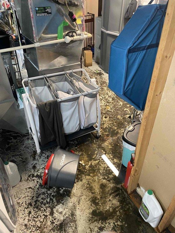 Responded to emergency call for flooded basement following heavy rainfall. Upon arrival, found extensive water damage throughout utility room with standing water covering concrete floor, visible sediment, debris, and significant moisture infiltration affecting multiple drain points. Assessed three floor drains in mechanical space, one equipped with plastic grate and two uncovered openings showing signs of backup or overflow. Deployed water extraction equipment and protective measures, including tarping of vulnerable mechanical equipment to prevent further damage to HVAC systems and appliances. Documented severe floor discoloration, mold growth patterns, and biological contamination resulting from water intrusion. Identified compromised drainage system as primary cause of flooding, with floor drains unable to handle volume of water entering space. Extracted standing water from affected areas using commercial-grade vacuum equipment and assessed extent of water damage to surrounding surfa