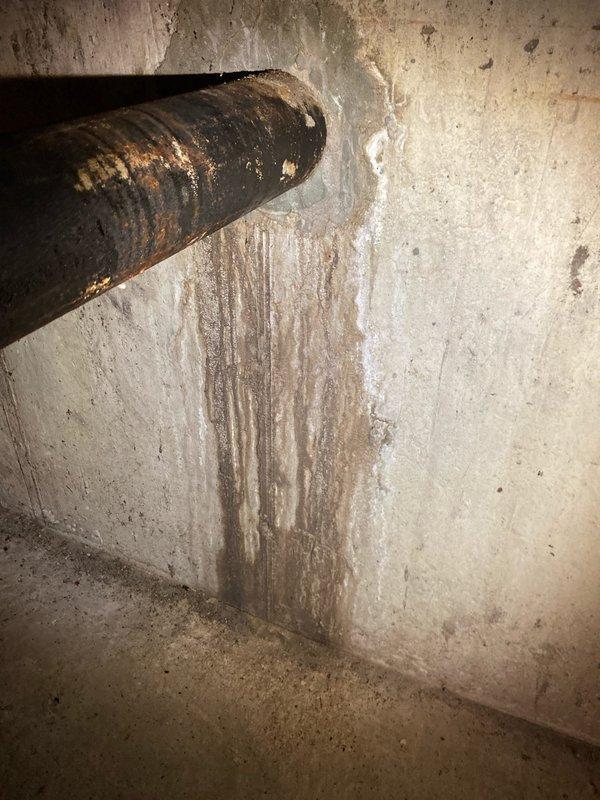 Completed comprehensive annual plumbing maintenance inspection including all membership-covered fixtures and systems with primary focus on sump pump evaluation. Documented significant corrosion on basement piping with evidence of historical water leakage and rust staining on adjacent wall surfaces, and noted substantial mineral deposit buildup and rust staining throughout toilet tank interior requiring future attention.
