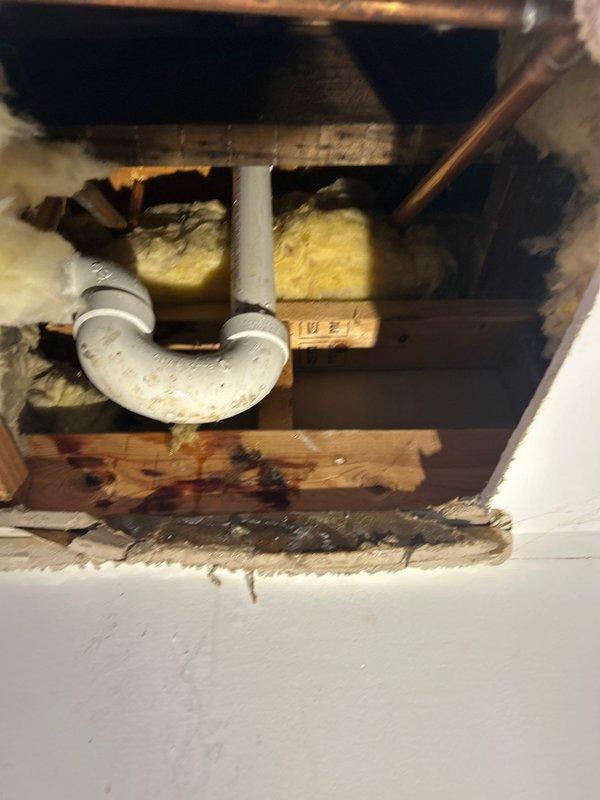 Responded to water leak originating from bathroom exhaust fan area on lower level, with source traced to plumbing system in unit above. Accessed ceiling cavity and inspected PVC drain trap and surrounding structural components, identifying water staining on wooden framing members and confirming leak location from upper bathroom plumbing. Documented conditions with photographs showing exposed drain line configuration, insulation, and evidence of water intrusion for further repair coordination.