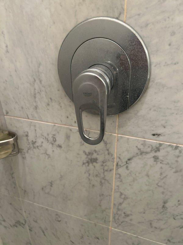 Provided estimate for cartridge replacement on two master bathroom fixtures in second-floor condo unit. Master bath sink features traditional three-hole configuration with separate hot and cold cross-handle valves and curved spout; leak identified at hot water handle stem occurring during operation. Master bath shower equipped with Grohe single-handle pressure-balance valve; experiencing post-closure drip from showerhead. Estimate prepared for replacement of cartridges in both fixtures, with unit shutoff valve confirmed available for isolation during service.