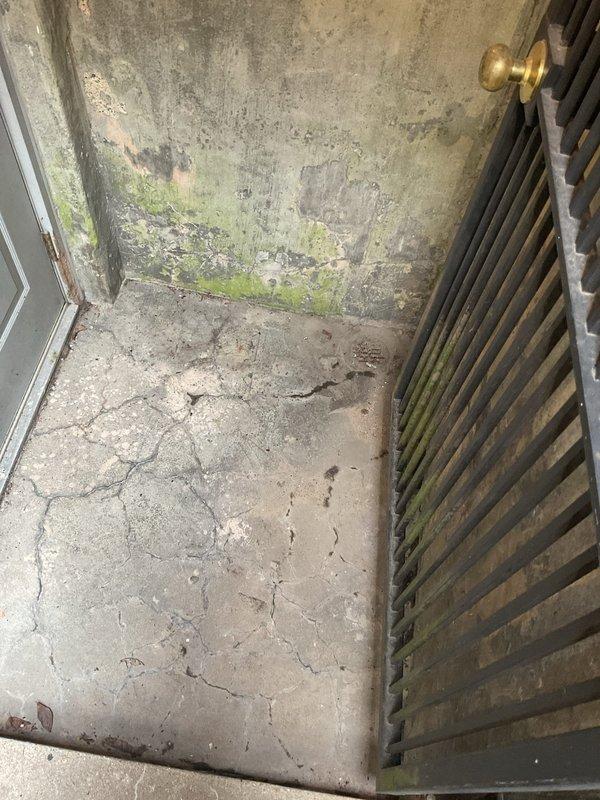 Completed preventative maintenance sewer line cleaning and inspection for two residential properties, clearing main lines from house to street connection. Accessed exterior cleanout points showing significant moisture damage and biological growth around foundation drainage areas. Removed drain grates to perform thorough rodding and hydro-jetting of main sewer laterals, ensuring proper flow and identifying deteriorated conditions at building perimeter requiring future attention.