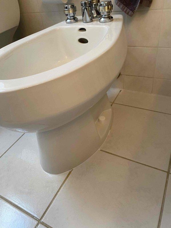 Completed installation of replacement bidet fixture in residential bathroom. Installed new white ceramic bidet with chrome faucet assembly featuring dual cross-handle controls and center spout, ensuring proper mounting to existing plumbing connections and secure positioning on tiled floor. Verified all connections for proper operation and leak-free performance.
