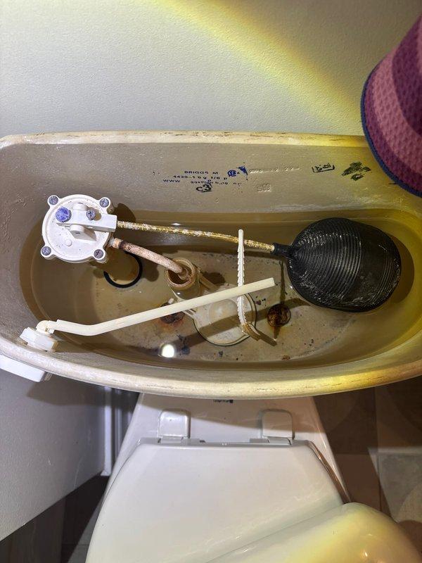 Responded to VIP appointment for toilet leaking blue liquid from back of bowl and upstairs tub faucet leak. Inspected toilet tank interior and identified worn flapper valve and aged fill valve assembly as source of water seepage allowing bowl cleaner to escape. Examined tub faucet fixtures and confirmed leak at tub spout connection requiring repair. Documented tank components showing mineral deposits and age-related deterioration, and photographed shower valve assembly with tub spout for repair recommendations.