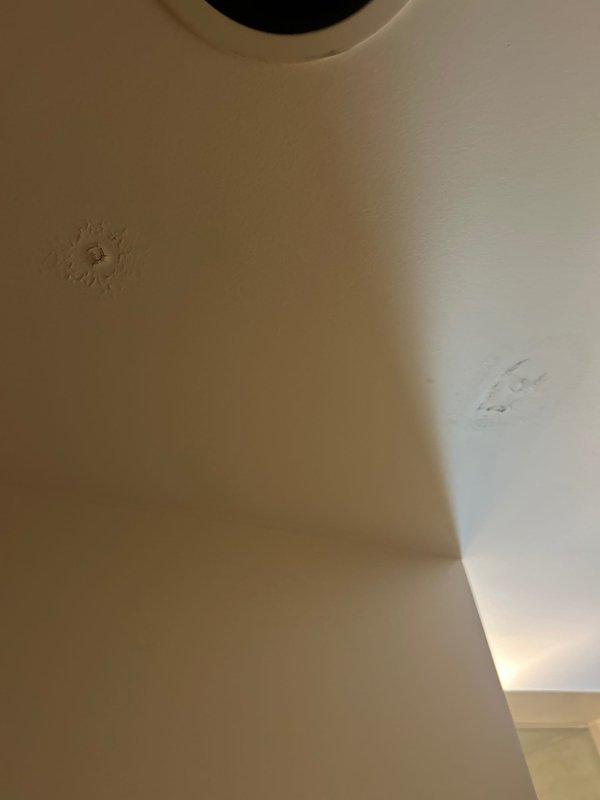 Responded to service call for ceiling water leak and loss of hot water. Upon inspection, located Bradford White Defender Safety System water heater in utility area. Documented visible ceiling damage with paint and surface material deterioration in affected room, indicating active water intrusion from above. Examined water heater installation including all copper piping connections, gas control valve, and plumbing fixtures. Photographed unit specifications, manufacturer labels, and surrounding installation area for diagnostic purposes. Identified water heater as probable source of leak based on location correlation with ceiling damage and simultaneous loss of hot water function. Recommended immediate water heater repair or replacement to resolve both the active leak and restore hot water service.