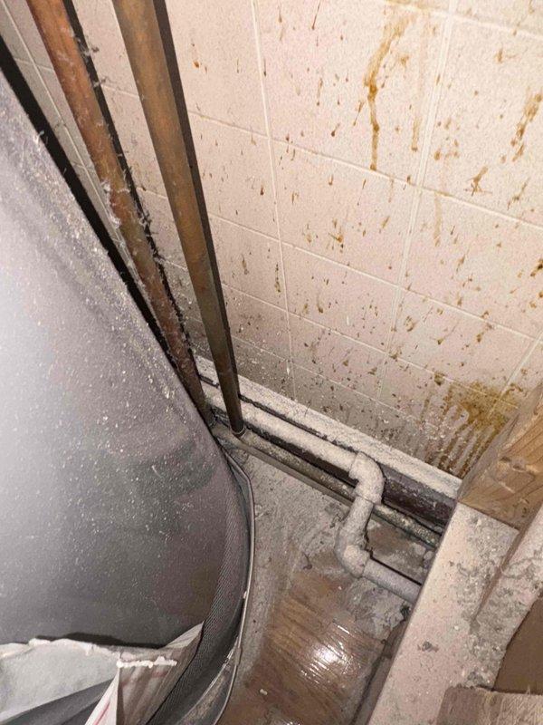 Completed tankless water heater installation estimate and assessment in residential basement utility area. Evaluated existing conditions including traditional Rheem Performance tank-style water heater with vented exhaust system, exposed plumbing infrastructure with white PVC drainage lines, and structural concerns related to water intrusion evident by brown staining on cinderblock walls and moisture damage indicators. Documented current water heater configuration, venting requirements, available space constraints, and necessary modifications for potential tankless conversion including gas line sizing, electrical requirements, and proper combustion air supply considerations.