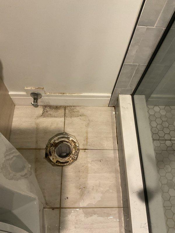 Responded to service call for bathroom floor drain maintenance and cleaning. Upon arrival, confirmed payment collection prior to commencing work per company protocol. Assessed bathroom floor drain showing significant buildup and discoloration around chrome grate assembly. Floor tiles exhibited extensive staining and deterioration, particularly concentrated around central drain fixture with yellow-brown residue visible on rim and surrounding tile surfaces. Documented pre-service conditions with photographic evidence showing wear patterns, grout line staining, and accumulated soil deposits throughout bathroom floor area adjacent to toilet and glass shower enclosure. Addressed drainage concerns and completed necessary cleaning and maintenance procedures to restore proper function to floor drain system.
