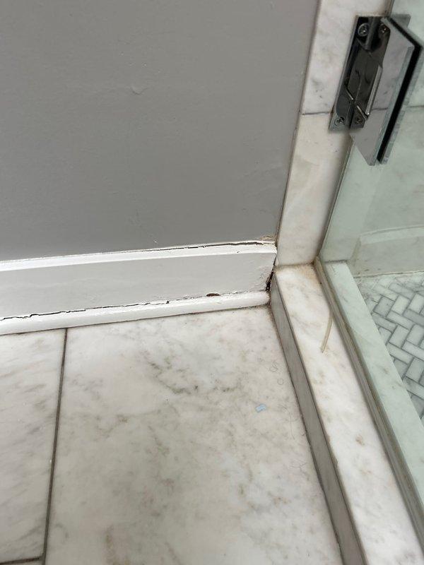 Inspected and assessed shower enclosure glass door assembly and surrounding fixtures. Examined chrome hinge mechanism connecting glass panel to door frame, noting normal wear patterns on metal components. Evaluated condition of white marble tile flooring with visible veining, identifying accumulated grime and discoloration along grout lines and corner seams. Assessed white door frame trim showing paint deterioration at floor junction. Documented decorative basket-weave pattern glass panel installation and mounting hardware functionality for maintenance records.