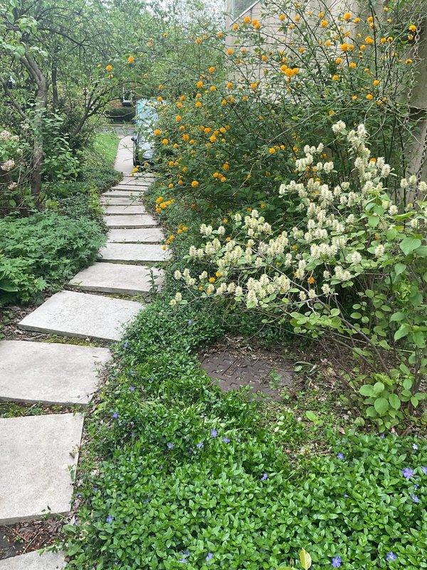 Responded to a clogged sewer line at a residential property. Upon arrival, located the main sewer cleanout access point in the landscaped garden area. Successfully cleared the obstruction in the main sewer line, restoring proper drainage function to the plumbing system.