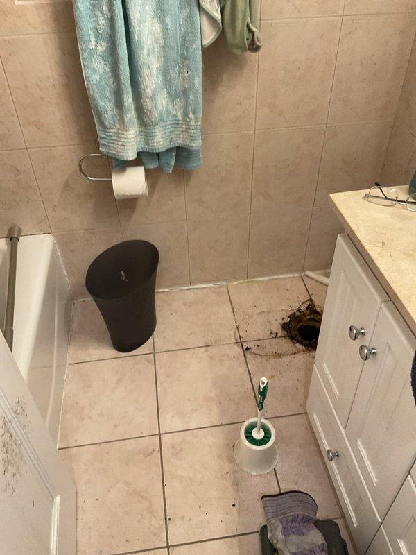 Responded to basement floor drain backup. Upon arrival, assessed the drainage system and identified blockage causing water to back up through the basement floor drain. Cleared the obstruction and restored proper drainage flow. Verified system was functioning correctly before completing service.