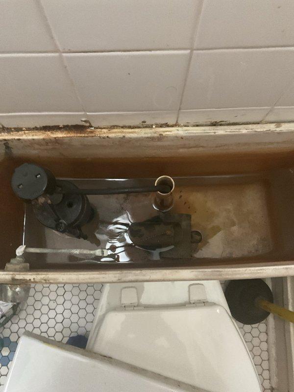 Performed inspection and assessment of toilet fixture experiencing water quality issues and deterioration. Found significant mineral deposit buildup and staining throughout toilet tank interior, affecting flush valve assembly and fill valve mechanisms. Documented extensive brown discoloration on ceramic surfaces indicating hard water deposits and age-related wear. Identified mold and mildew growth along grout lines where tank meets wall, suggesting ongoing moisture infiltration issues. Examined supply line connections and measured clearances for potential fixture replacement considerations. Photographed existing conditions including corroded components, stained porcelain surfaces, and compromised sealing areas for maintenance records and future reference.
