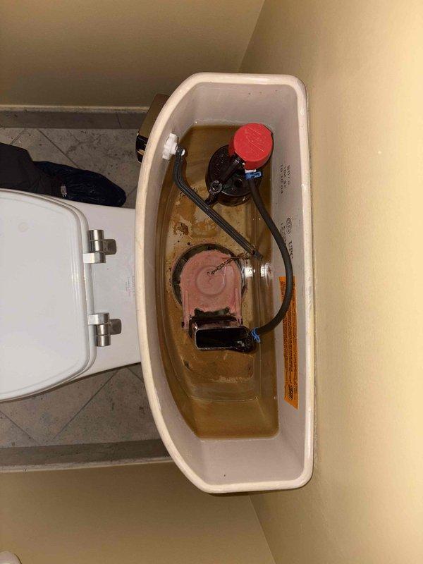 Evaluated existing under-sink reverse osmosis system with pressurized storage tank and dual-stage filtration cartridges, providing consultation on tankless RO upgrade options requiring electrical outlet installation. Inspected toilet with discolored tank water indicating rust or sediment contamination, discussed flange and subfloor repair requirements as separate scope items from standard toilet replacement, and reviewed considerations for selecting appropriate replacement toilet fixture including bowl height, flush mechanism efficiency, and rough-in measurements.
