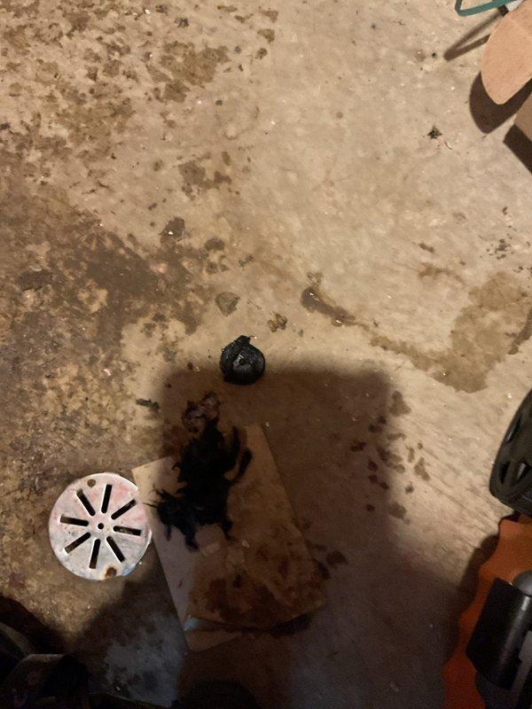 Responded to service call regarding malfunctioning ejector pump system experiencing frequent backups and foul odors. Upon inspection, documented existing PVC plumbing configuration in basement utility area, including multiple pipe connections with rubber couplings and floor drain assembly. Assessed system for proper operation, drainage flow, and potential causes of backup issues including pump performance, discharge line integrity, and ventilation adequacy.