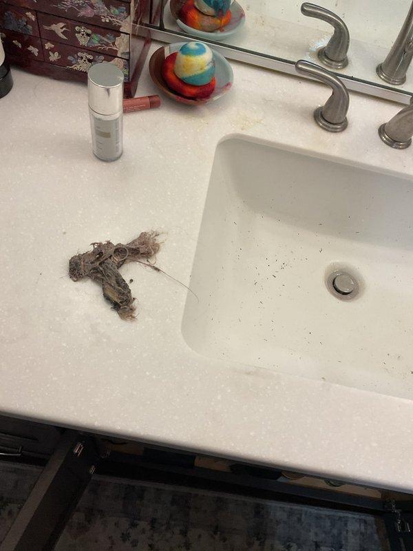 Responded to priority service call for kitchen and bathroom sinks not draining in 30-year-old home, issue ongoing for one month. Accessed plumbing system through attic crawl space to inspect drain lines and venting. Cleared blockages from affected drain lines restoring proper drainage to both fixtures. Removed debris from bathroom sink area including deceased gecko found on vanity countertop. Verified all drains flowing freely and system operating normally upon completion.
