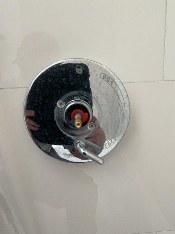 Responded to low water pressure complaint isolated to basement bathroom shower in 9-year-old home. Inspected single-handle shower valve assembly and determined cartridge required replacement due to mineral buildup and internal wear causing restricted flow. Removed chrome escutcheon plate, extracted existing cartridge from valve body, and installed new replacement cartridge. Reassembled trim components, tested hot and cold water flow at multiple handle positions, and verified full water pressure restoration to showerhead with no leaks detected at valve connections.