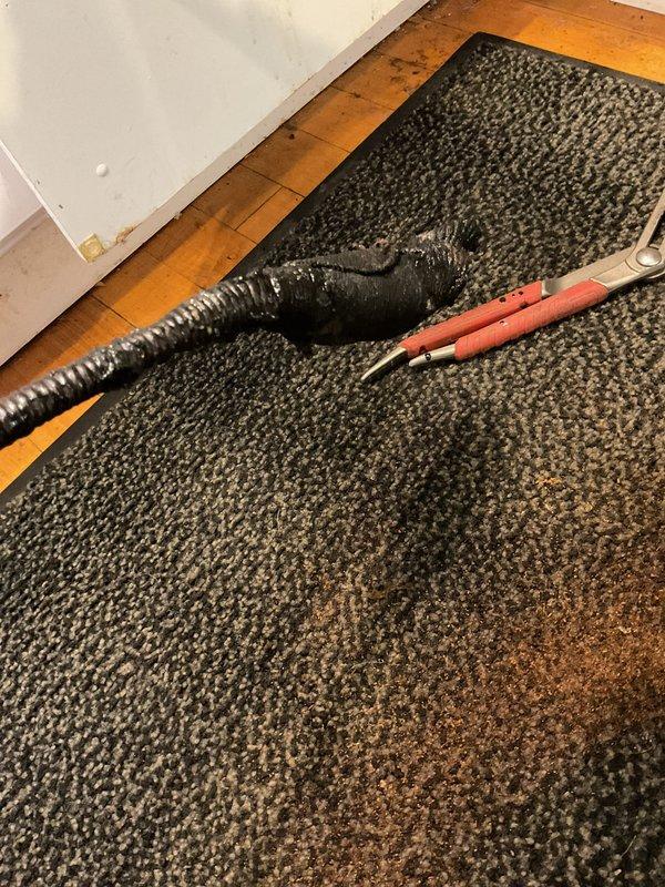 Responded to a kitchen sink drainage issue caused by garbage disposal use. Successfully cleared a stubborn clog in the main kitchen drain line using professional drain cleaning equipment after homeowner attempts were unsuccessful. The blockage had caused water to back up through the drainage stack, creating slow drainage throughout the system. Accessed the kitchen drain line through the basement cleanout, restored full drainage flow, and verified proper operation of the entire system.