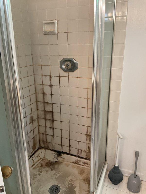 Responded to service request for bathroom plumbing issues. Upon inspection, discovered severe water damage in shower stall with extensive mold and mildew growth on walls and floor, indicating chronic moisture intrusion. Investigation revealed active leak from shower valve assembly that had migrated through ceiling below, causing significant structural damage to drywall and requiring emergency access opening to assess extent of water penetration into framing members. Replaced faulty shower control valve and associated trim components, addressed compromised waterproofing in tile installation, and coordinated necessary repairs to damaged ceiling structure and drywall restoration.