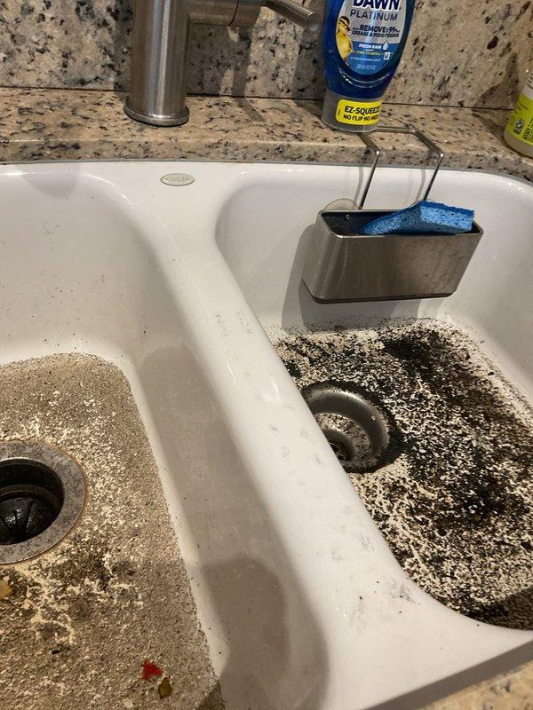 Responded to a main drain cleanout service call in a highrise building where multiple units experienced simultaneous drainage issues affecting kitchen sinks due to a clog in the shared waste line. Upon inspection, found significant accumulation of coffee grounds and debris in the double-basin kitchen sink, accessed the P-trap assembly beneath the sink cabinet, and successfully cleared the blockage to restore proper drainage function for both affected units.
