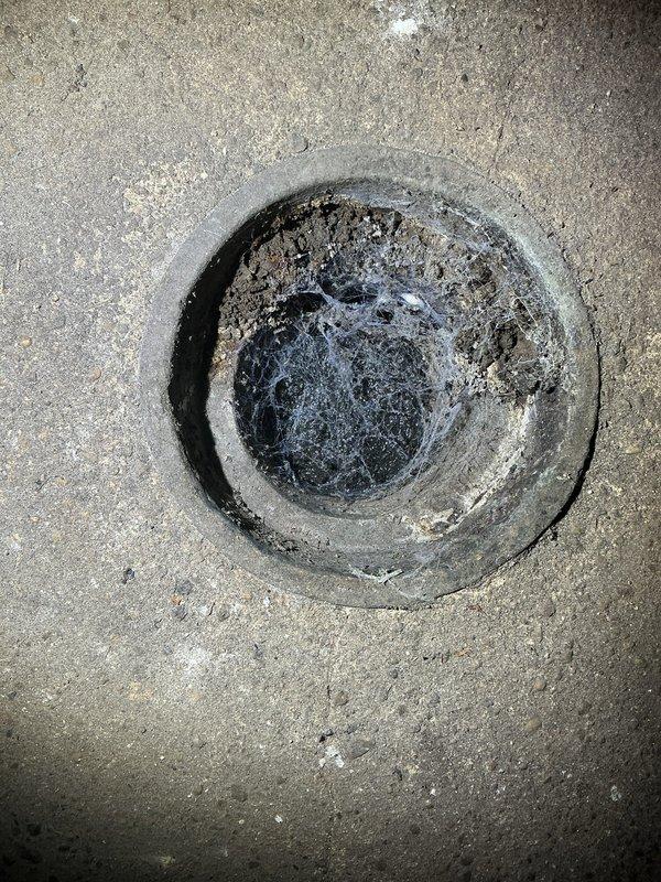 Responded to morning appointment for assessment of two broken drain lines leading to catch basins. Upon inspection, identified damaged drainage system with floor drains showing signs of age, deterioration, and potential structural compromise. Documented existing conditions including concrete floor degradation, efflorescence deposits, and drain components requiring replacement. Provided comprehensive residential drain and sewer estimate for repair of compromised drainage infrastructure and restoration of proper water flow to catch basin system.