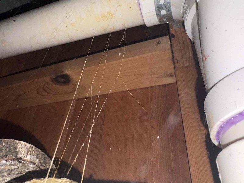 Responded to service call for overflowing drum trap in basement ceiling that had previously leaked through light fixtures. Upon inspection, identified improperly executed prior repair with inadequate adhesive application on trap assembly. Accessed plumbing system through existing ceiling opening to assess drum trap condition and surrounding PVC drainage lines. Documented existing infrastructure including horizontal waste lines, support brackets, and connection points in crawlspace area. Evaluated structural integrity of repair zone and confirmed cessation of active leaking. Provided comprehensive assessment and repair recommendations for proper drum trap replacement or remediation to ensure code-compliant installation and prevent future overflow incidents.