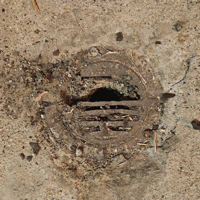 Completed complimentary replacement of heavily corroded exterior floor drain cover. The existing drain grate exhibited extensive rust deterioration and structural compromise, with debris accumulation affecting proper drainage function. Removed the failed drain cover from the concrete surface, cleared organic debris from the drain opening and surrounding area, and installed new drain cover to restore proper drainage capability and prevent safety hazards.