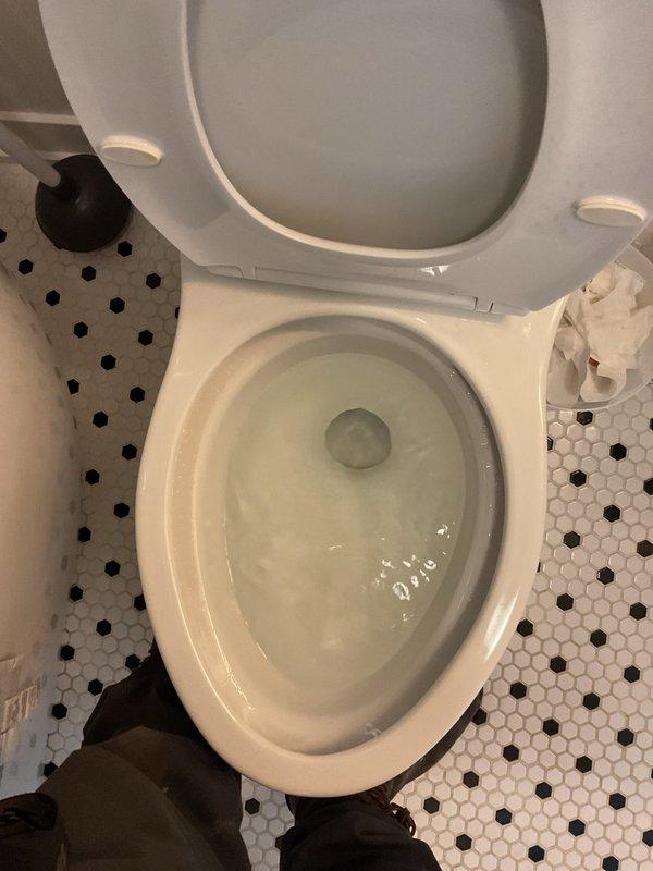Responded to service call for two non-flushing toilets in residential bathroom. Upon inspection, diagnosed flushing mechanism failures in both fixtures. Performed necessary repairs to restore proper flushing function to both toilets, verifying complete water flow and drainage operation before completion.