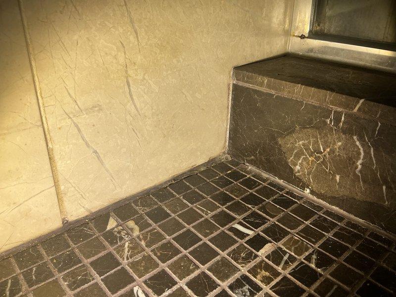 Conducted follow-up site visit to assess shower drain and basement utility area for additional estimate preparation. Documented existing conditions including mosaic tile shower floor with center drain, marble-patterned wall tiles, and basement space showing general wear requiring attention. Photos captured for quality assurance review and estimate development purposes.