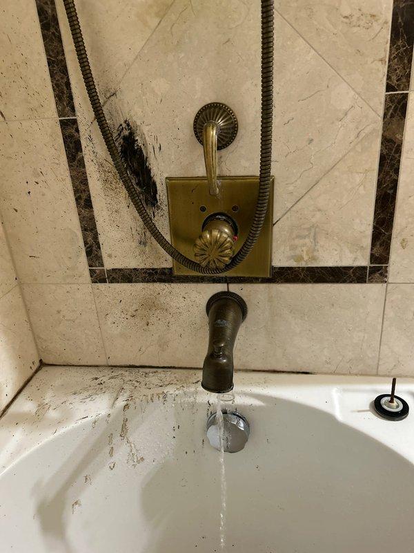 Removed and replaced defective shower valve cartridge in bathtub fixture. The original cartridge showed significant mineral buildup and corrosion, causing operational issues. Disassembled brass shower fixture assembly, extracted old cartridge, and installed new replacement cartridge to restore proper water flow and temperature control functionality.