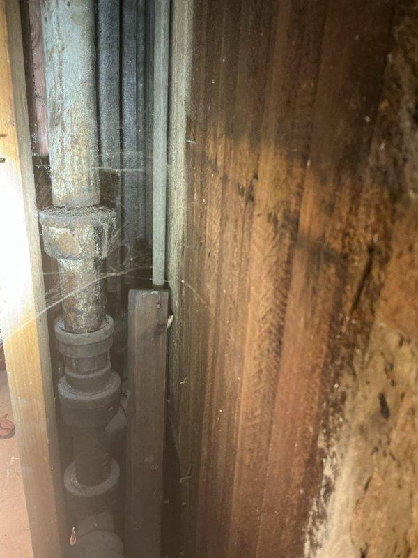 Responded to service call for catch basin repair due to rodent intrusion issue. Conducted thorough inspection of affected plumbing system, which required removal of interior wall sections to access concealed drainage infrastructure. Documented existing conditions including aged metal piping, PVC drainage lines, and compromised structural areas showing moisture damage and deterioration. Identified entry points where rodents were accessing the property through the compromised catch basin system. Photographed exposed plumbing configuration, pipe routing, and areas of concern including evidence of long-term moisture exposure and biological growth in utility areas. Provided estimate for catch basin repair and related remediation work to restore proper drainage function and eliminate pest access points.
