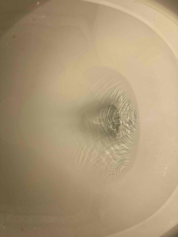 Responded to service call for toilet with slow drainage and flushing issues. Upon inspection, found existing Kohler flush valve assembly with flapper mechanism that had been previously replaced by customer without resolving the problem. Tested flush cycle and confirmed toilet bowl drains slowly, indicating partial blockage in trap or drain line rather than tank component failure. Documented tank interior components and water flow patterns for diagnostic purposes. Advised that issue stems from drainage obstruction, not flush mechanism, and recommended drain clearing or possible toilet removal for trap inspection to restore proper flow and drainage speed.