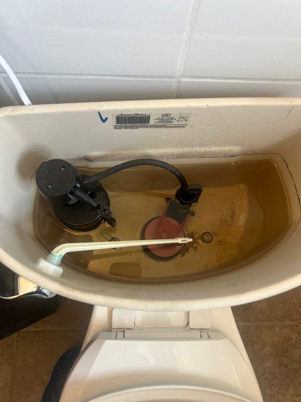 Inspected American Standard two-piece toilet in residential bathroom and documented existing conditions including discolored tank water with rust and mineral deposits, stained interior tank surfaces, and aging flush mechanism components. Coordinated with tenant to schedule toilet repair work for the following Monday afternoon to address water quality issues and replace deteriorated internal components.