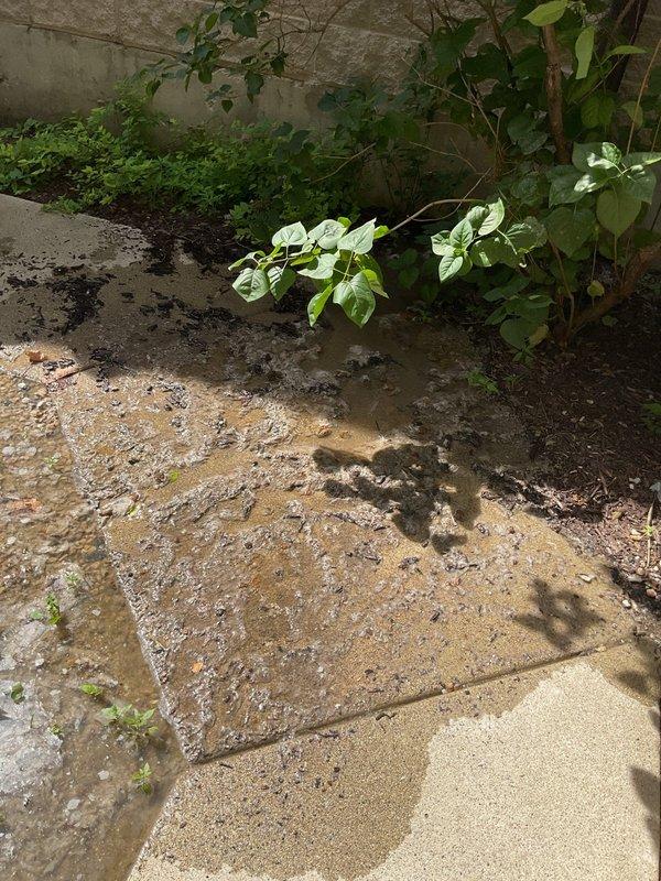 Responded to exterior sewer line stoppage that developed the same morning at an 18-year-old residential property. Upon arrival, located the affected area outside the home near the building's drainage system and downspout connection point. Performed diagnostic assessment of the sewer line to identify the blockage location and severity. Successfully cleared the obstruction using professional drain cleaning equipment, restoring proper flow and drainage function to the main sewer line. Verified complete clearance through water flow testing to ensure system was operating normally with no remaining restrictions.