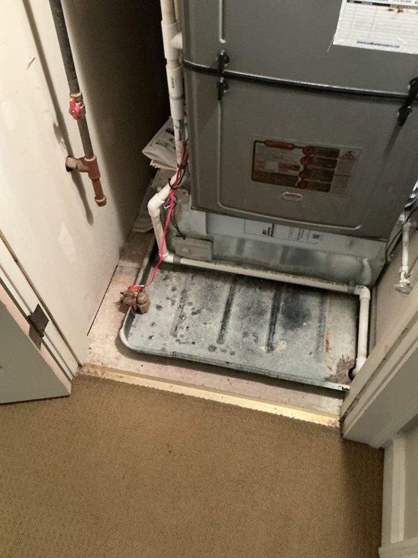 Responded to emergency plumbing call for active tub leak on upper floor of historic 1890s home, with water dripping through ceiling into bathroom below and running across electrical fixtures. Upon arrival, conducted thorough inspection of affected areas to identify leak source and assess water damage extent. Investigated plumbing connections, drain assembly, and tub overflow components on upper level while evaluating ceiling damage and electrical hazards in lower bathroom. Documented conditions with photographs showing water infiltration patterns and affected fixtures. Identified compromised plumbing connection as source of leak and implemented repair to stop active water flow. Verified repair integrity and confirmed cessation of dripping into lower level. Advised property owner on monitoring for additional moisture issues and recommended follow-up inspection of ceiling and electrical systems by appropriate trades to ensure safety and assess any structural damage from water intrusion.