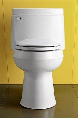 Installed a new 12-inch elongated two-piece toilet in residential bathroom, replacing existing fixture. Completed full installation including setting the bowl, securing the tank, connecting water supply line, and testing flush mechanism for proper operation. All chrome accessories including flush lever and toilet paper holder are properly positioned and functional.
