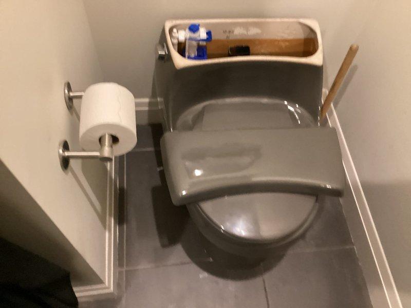 Completed installation of new gray toilet fixture in residential bathroom. Installed fill valve assembly with blue components and black flapper valve with red chain linkage, ensuring proper flush mechanism operation. Verified all connections for proper sealing and tested flush cycle for optimal performance.